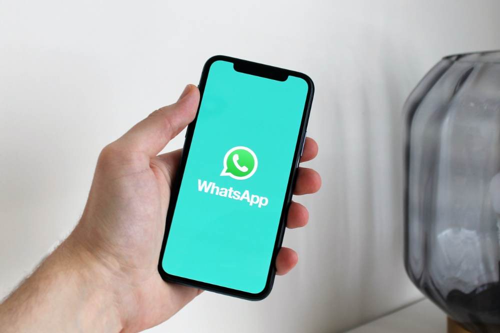 Como Saber o Número do seu WhatsApp Business