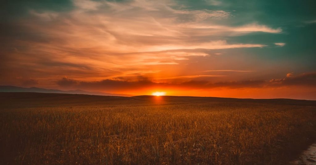beleza do sol ao se pôr no horizonte