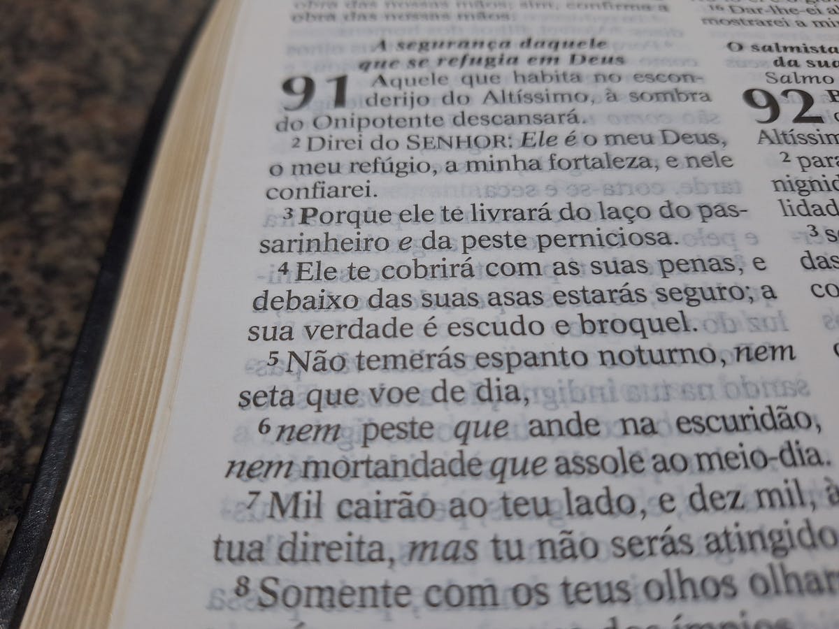 Quem Escreveu o Salmo 91: Davi ou Moisés? - REVISTA DICAS