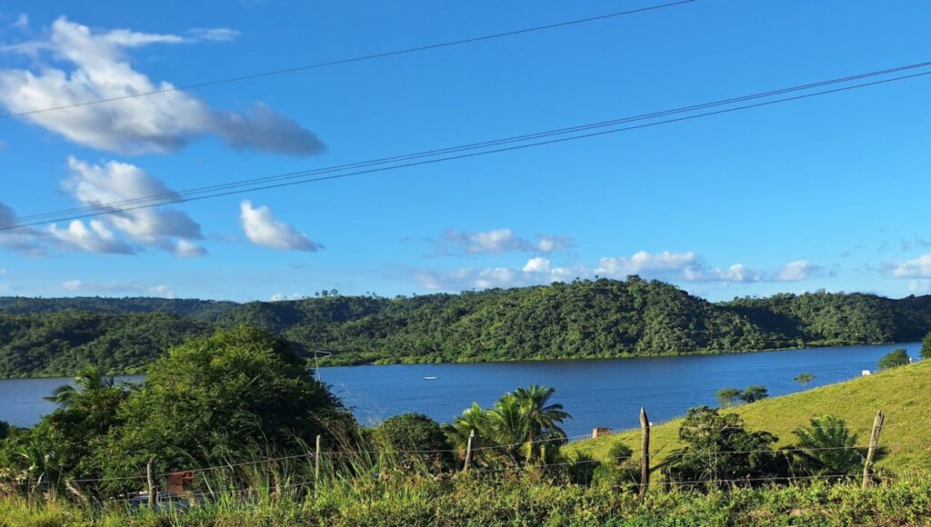 Quem escreveu o Salmo 100